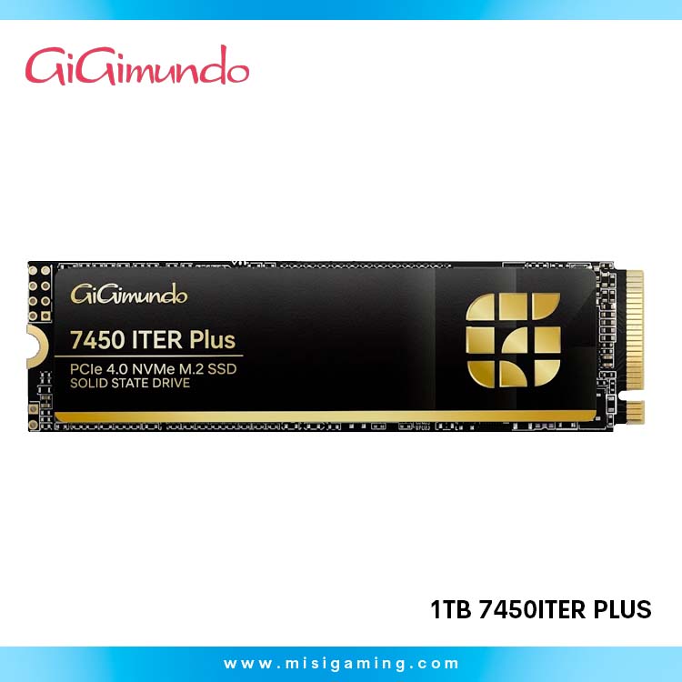 Almacenamiento Gigimundo 1Tb 7450ITER Plus