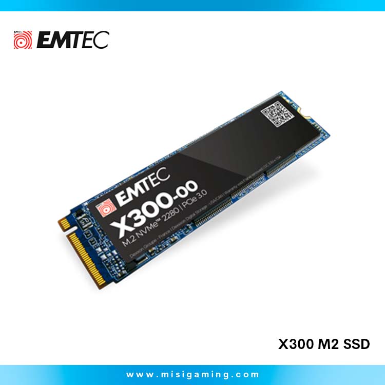 Almacenamiento Emtec X300 1Tb Ssd Nvme - 2500Mb/s