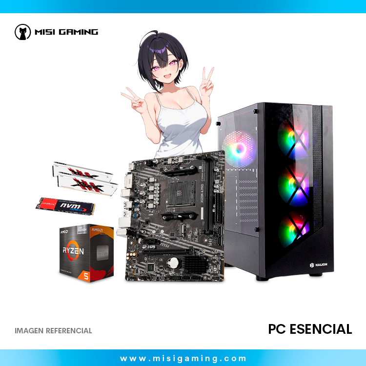PC ESENCIAL RYZEN 5 5600G 16 GB MEMORIA RAM 512 GB ALMACENAMIENTO A520M CASE GAMER